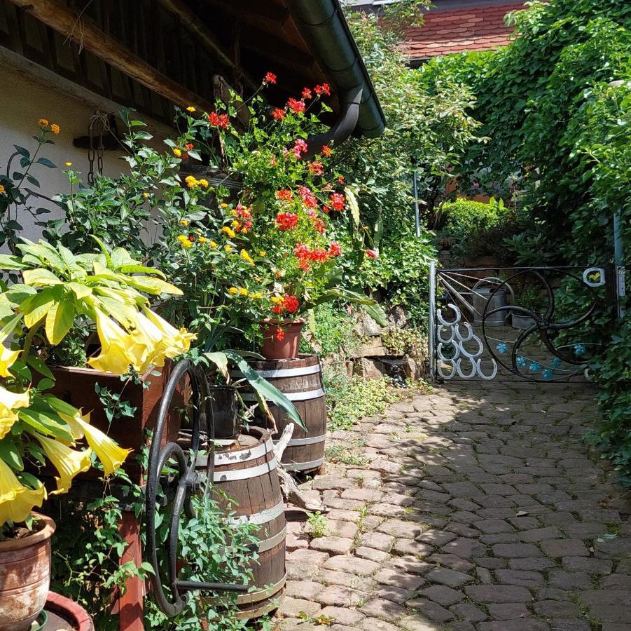 Beim Schlafwandler Διαμέρισμα Karlsbad Εξωτερικό φωτογραφία